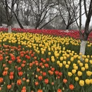 杭州旅游 缩略图 6