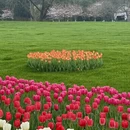 杭州旅游 缩略图 12