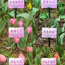 杭州旅游 缩略图 11