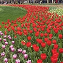 杭州旅游 缩略图 12