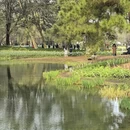 杭州旅游 缩略图 15