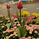 杭州旅游 缩略图 10
