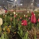 杭州旅游 缩略图 8