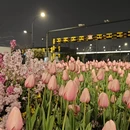 杭州旅游 缩略图 5