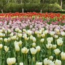 杭州旅游 缩略图 1