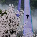 杭州旅游 缩略图 3