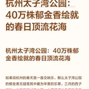 杭州旅游 缩略图 1