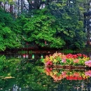 杭州旅游 缩略图 1