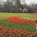 杭州旅游 缩略图 2