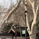 杭州旅游 缩略图 11