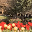 杭州旅游 缩略图 7