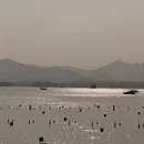 杭州旅游 缩略图 12