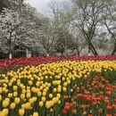 杭州旅游 缩略图 9