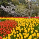 杭州旅游 缩略图 8