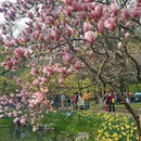 杭州旅游 缩略图 4