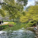 杭州旅游 缩略图 5