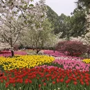 杭州旅游 缩略图 1