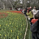 杭州旅游 缩略图 2