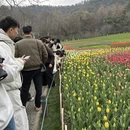 杭州旅游 缩略图 1