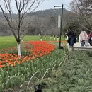 杭州旅游 缩略图 3