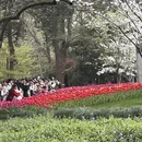 杭州旅游 缩略图 7