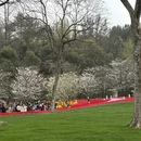 杭州旅游 缩略图 8