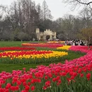 杭州旅游 缩略图 11