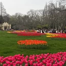 杭州旅游 缩略图 10