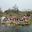杭州旅游 缩略图 1