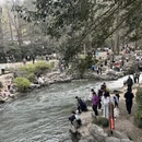 杭州旅游 缩略图 5
