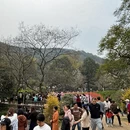 杭州旅游 缩略图 3