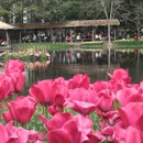 杭州旅游 缩略图 5