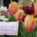 杭州旅游 缩略图 8
