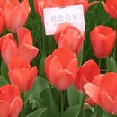 杭州旅游 缩略图 13