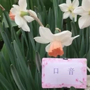 杭州旅游 缩略图 14