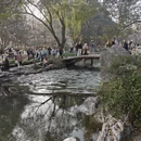 杭州旅游 缩略图 1