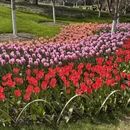 杭州旅游 缩略图 6