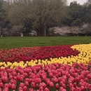 杭州旅游 缩略图 3