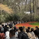 杭州旅游 缩略图 1