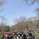 杭州旅游 缩略图 4