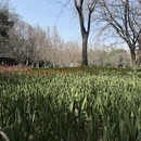 杭州旅游 缩略图 3