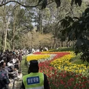 杭州旅游 缩略图 2