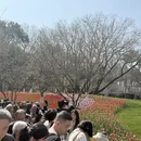 杭州旅游 缩略图 5