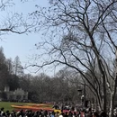 杭州旅游 缩略图 7