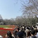 杭州旅游 缩略图 6