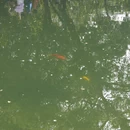 杭州旅游 缩略图 7
