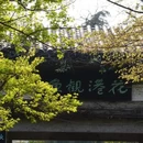 杭州旅游 缩略图 5