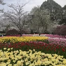 杭州旅游 缩略图 5