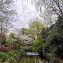 杭州旅游 缩略图 4