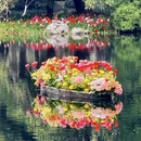 杭州旅游 缩略图 1